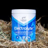 MEBIO ELECTROLYTE Elektrolity o przedłużonym działaniu 1kg
